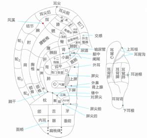 風溪|风溪的位置及作用